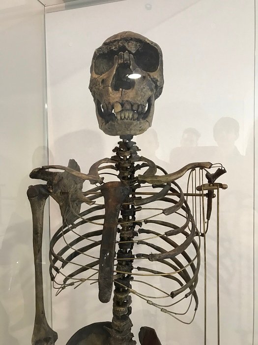 3137